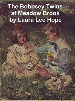 cover image of The Bobbsey Twins at Meadow Brook